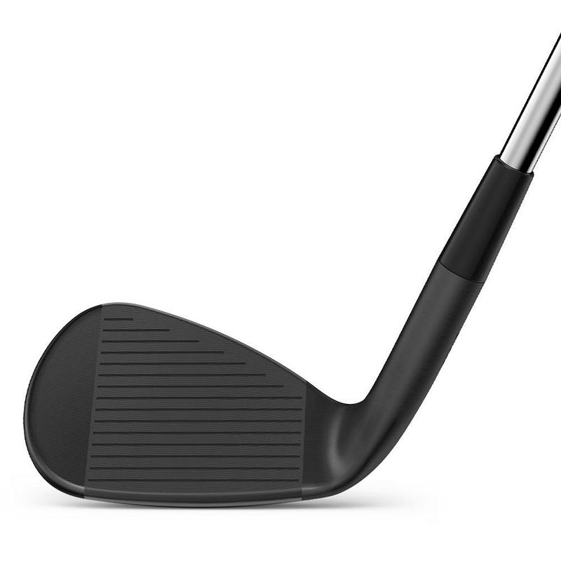 Wilson Infinite Wedge back